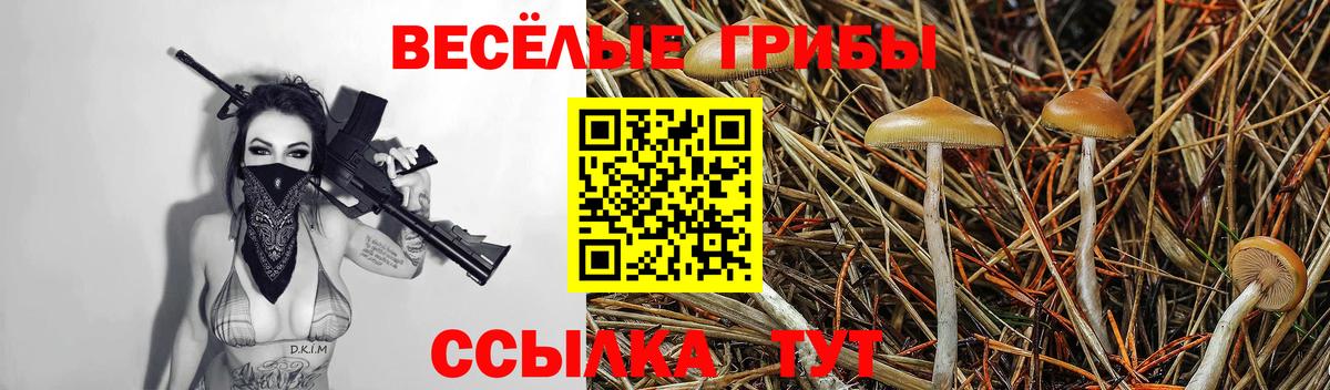 Галлюциногенные грибы MAGIC MUSHROOMS  Вход с VPN  Полысаево 