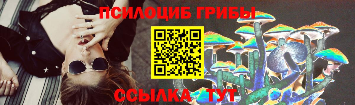 Псилоцибиновые грибы MAGIC MUSHROOMS Полысаево